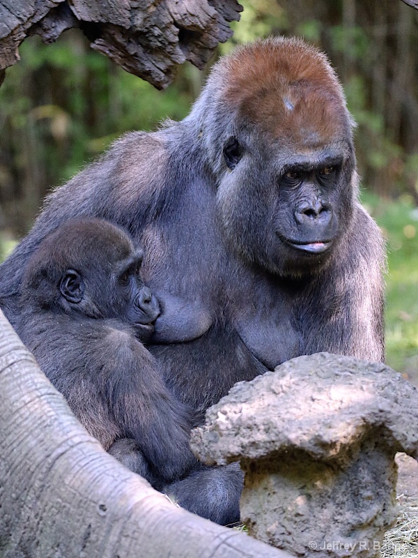 "Lunch Time With Mom"