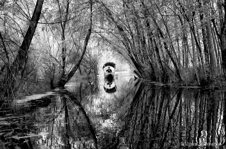 A Boat in the Canal