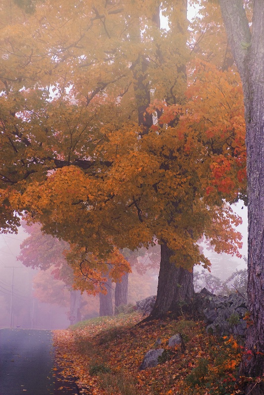 Foggy October Morning