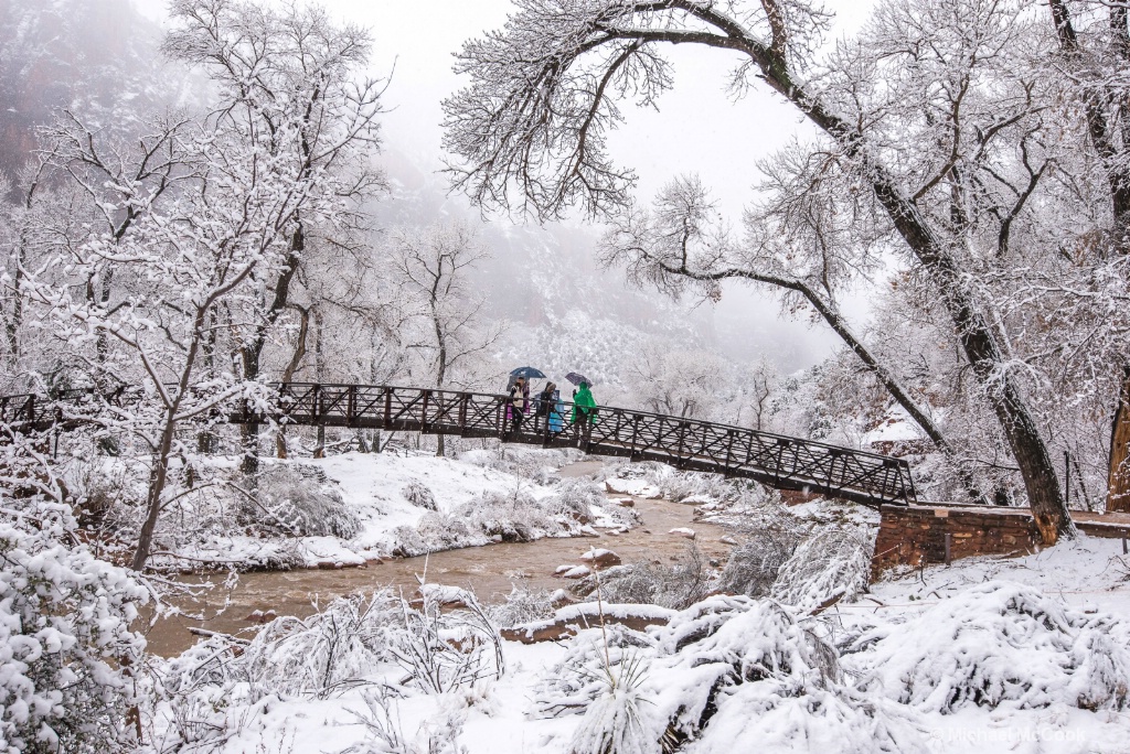 Zion in the Snow.