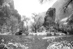 Zion in the Snow...