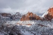 Zion Canyon in th...