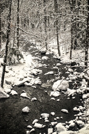 The Swift River in Snow