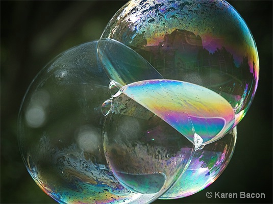 life in a bubble