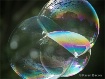 life in a bubble