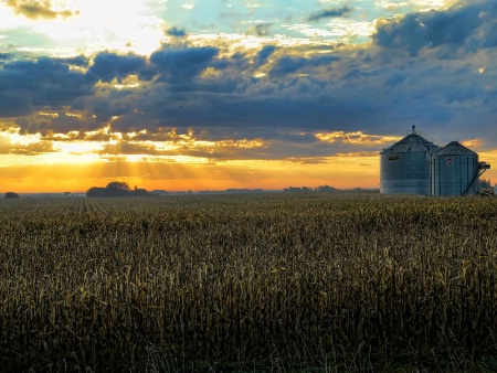 Sunrise And Silos 3