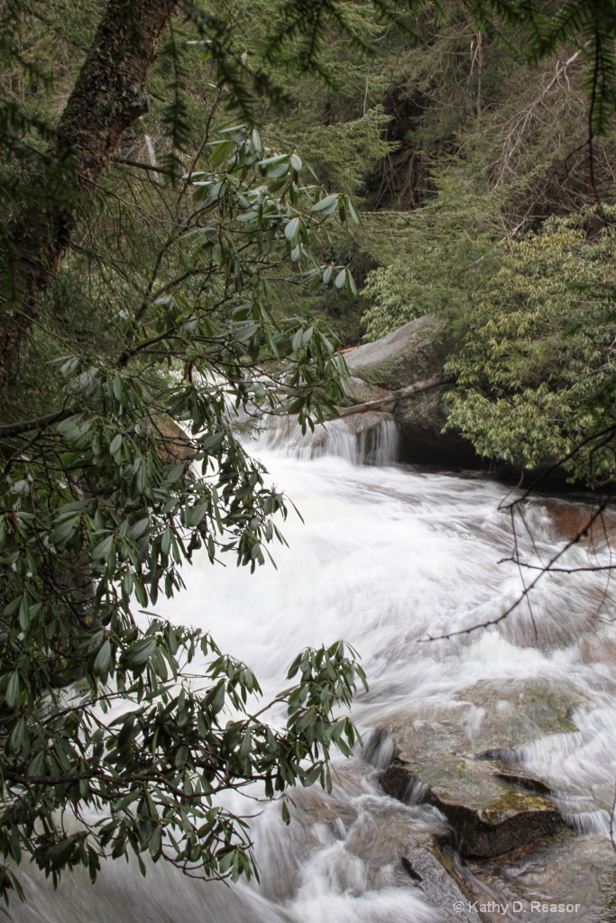 Swallow Falls