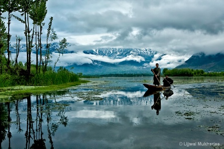 Peaceful Nature