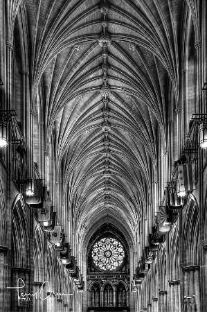 Looking Towards the Rose Window