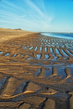 Morning Beachscape