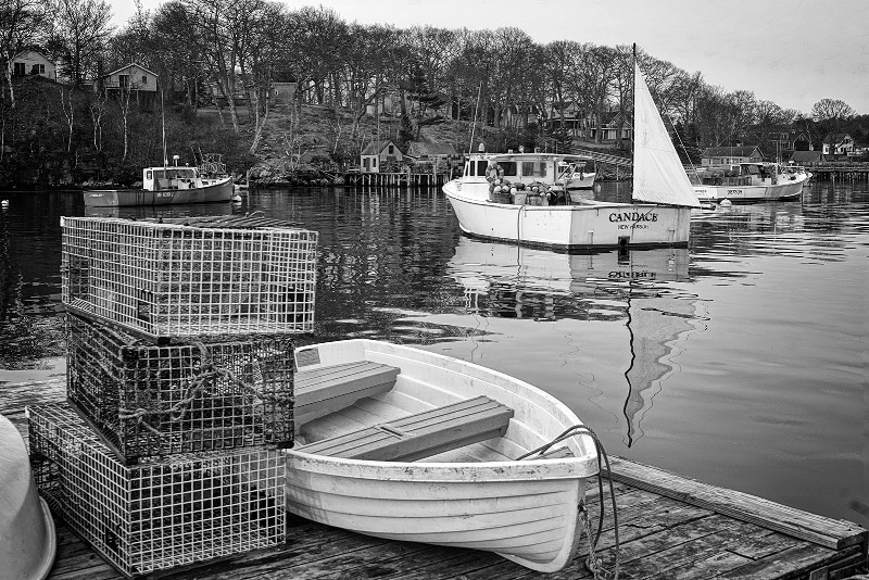 Maine Harbor View