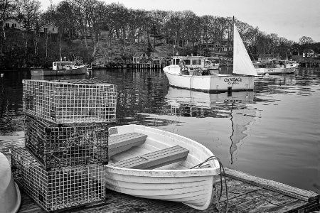 Maine Harbor View