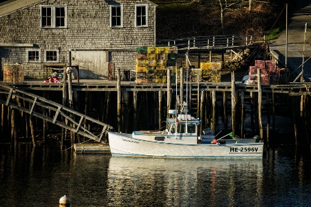 Morning in New Harbor