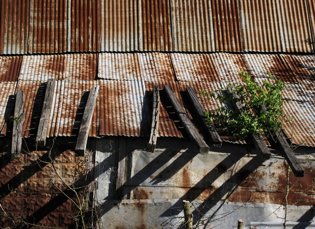 Tin and Shadows