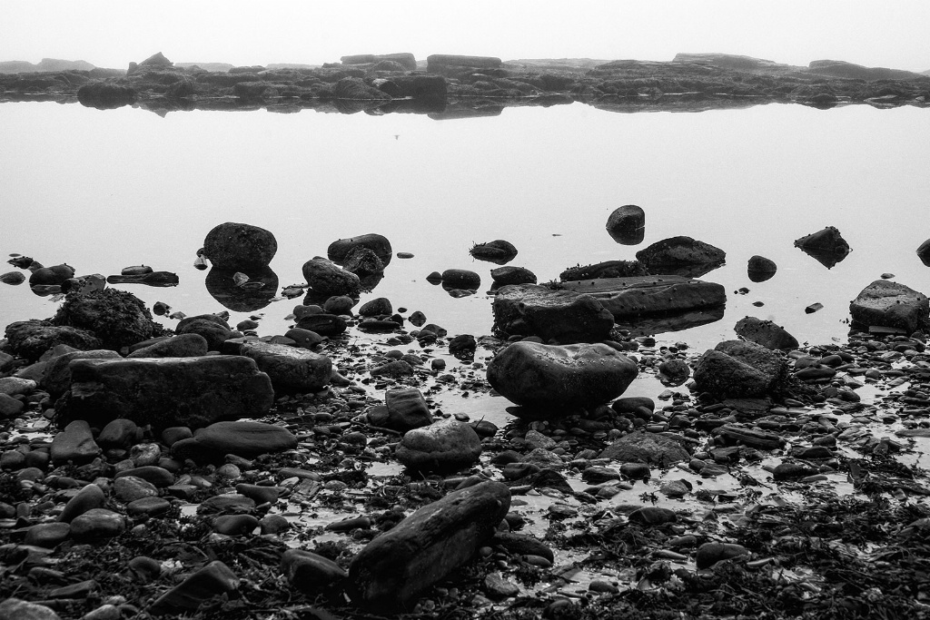 Coastal Stones