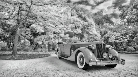 1935 Packard Dual Cowl Phaeton