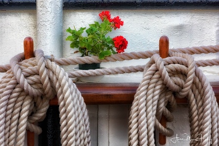 Ropes and Flowers