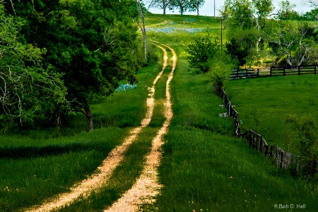 Up A Texas Hill