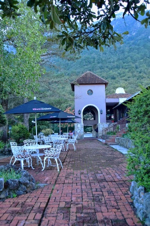 THE  ENTRANCE  TO  THE  RESTAURANT