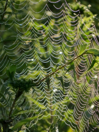 Web Patterns