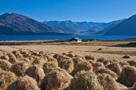 Pangong Lake region