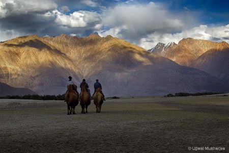Camel Ride at Hundar Desert