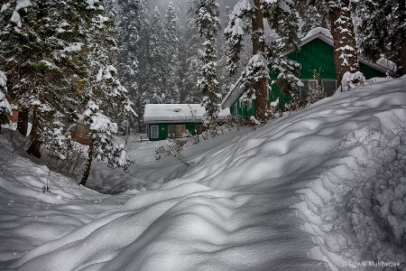 Draped in Snow 