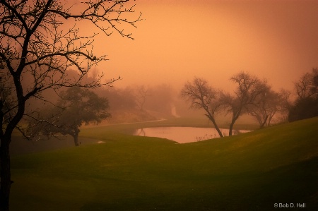 Fog in the Valley