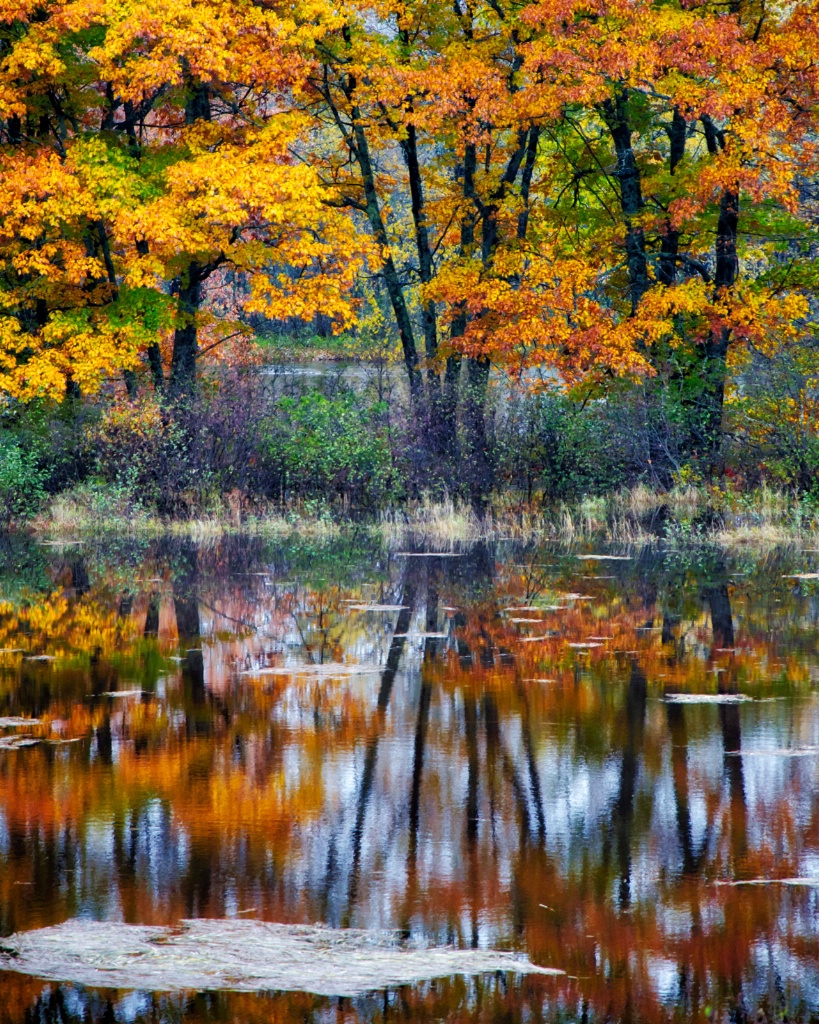 Autumn Reflections