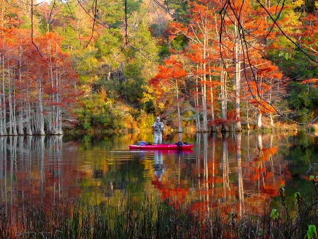 Beavers Bend State Park