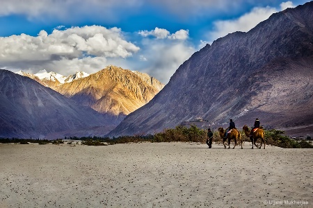 Camel Ride in Nubra Valley