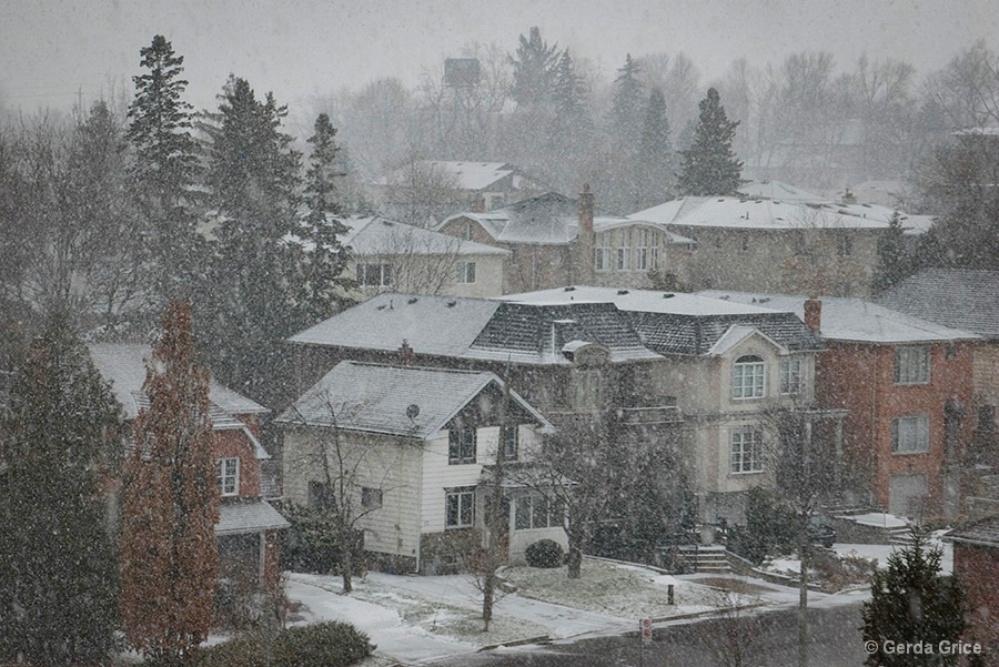 A Snowy Day in My Neighbourhood