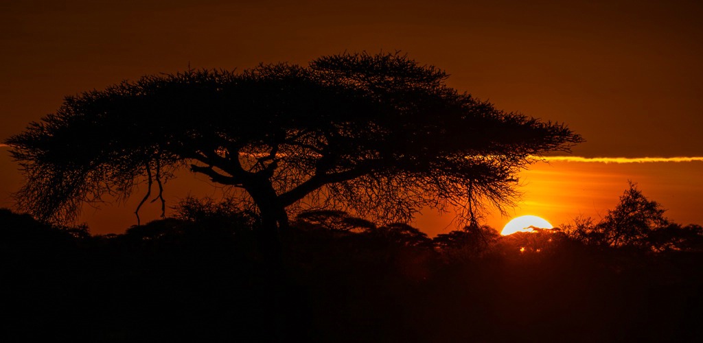 Amboseli Sunset