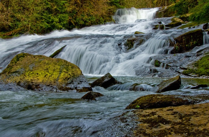 Alsea Falls - ID: 15550231 © Ann H. Belus