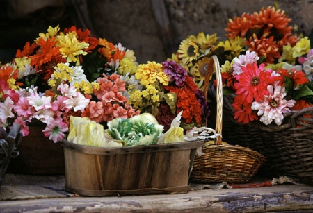 Baskets of Flowers