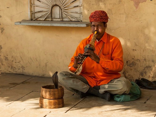 Snake Charmer - ID: 15573192 © Ann H. Belus