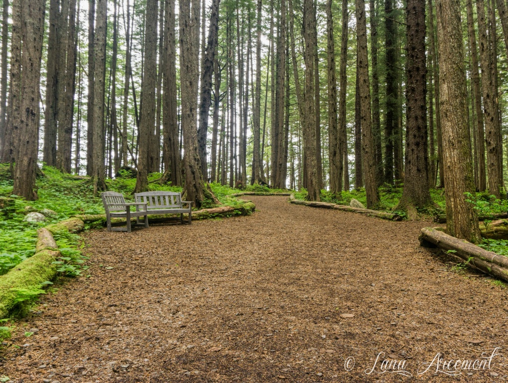 Walking Trail