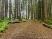 Walking Trail