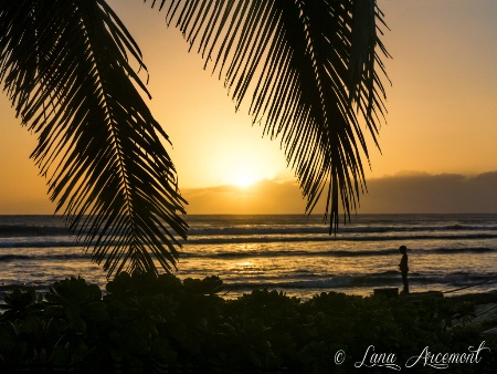 Sunset in Hawaii