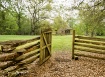 Into The Past