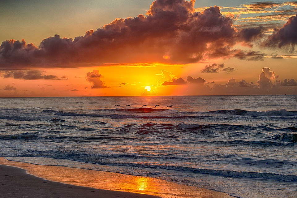 Carolina Beach, NC Sunrise - ID: 15618936 © John D. Jones