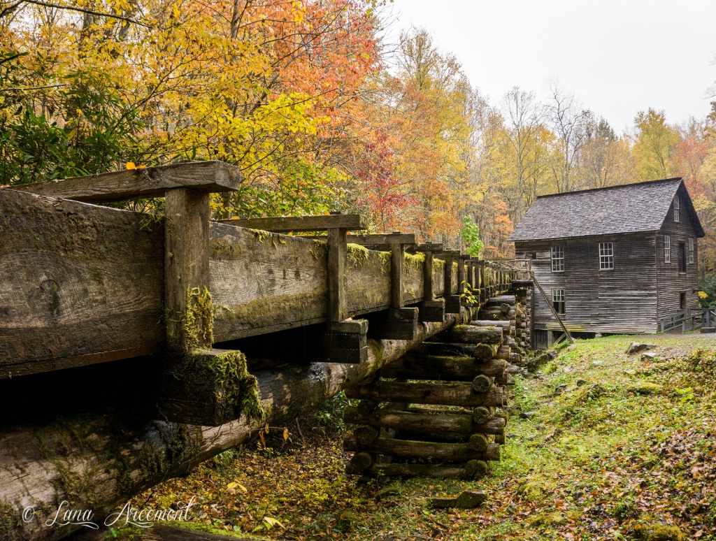 Mingus Mill