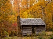 The Old Cabin