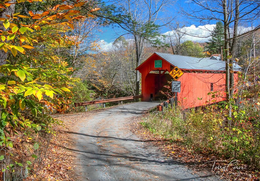 Autumn Drive