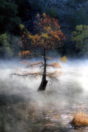 In The Autumn Mist