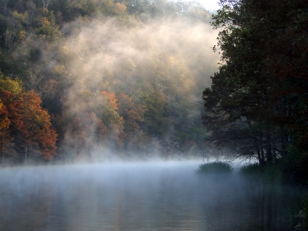 Misty Fall Morning