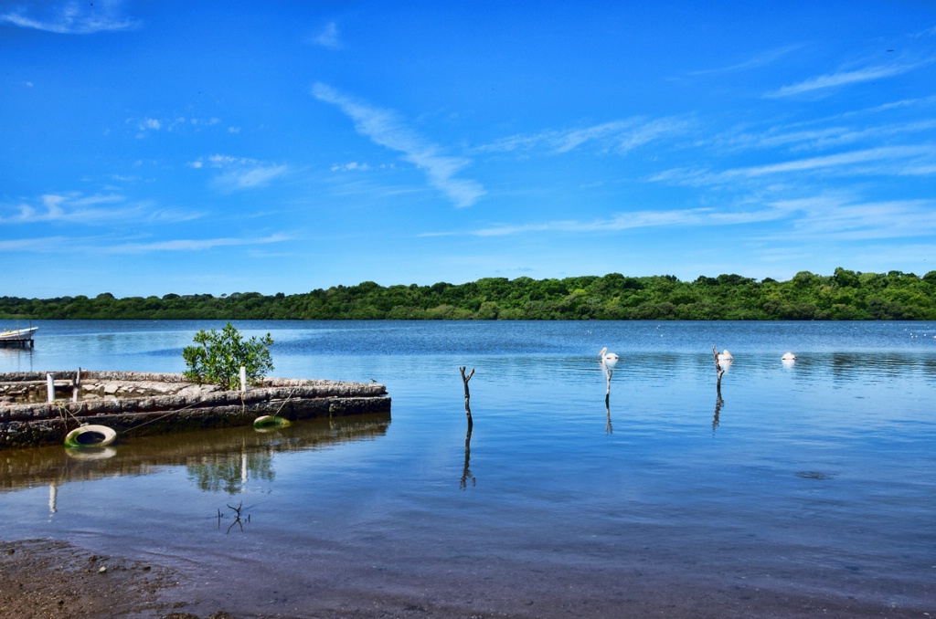 AT THE CARRIZAL RIVER II