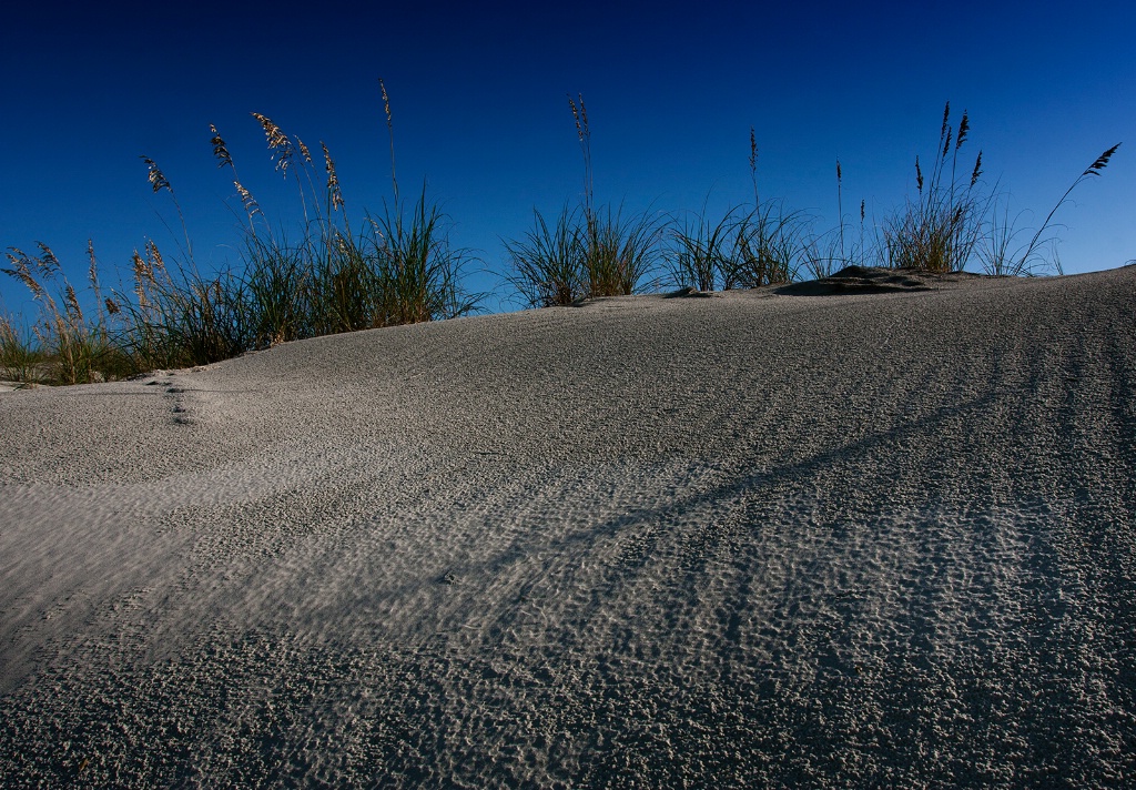 Sea Oats and Ridges