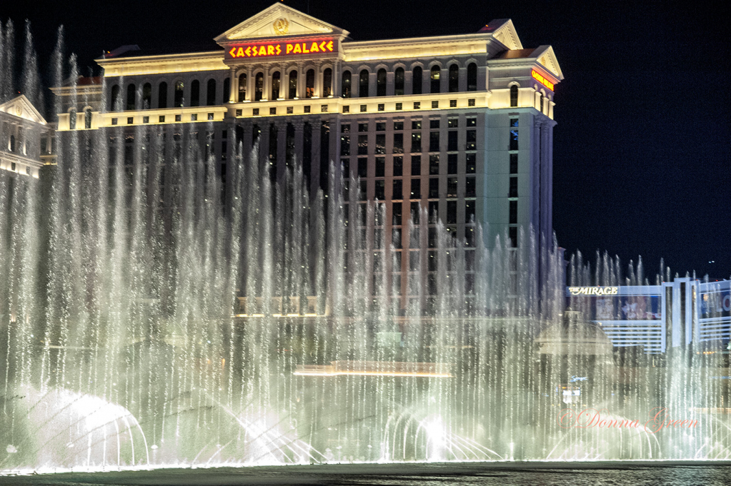 Water Show - ID: 15783189 © Robert/Donna Green