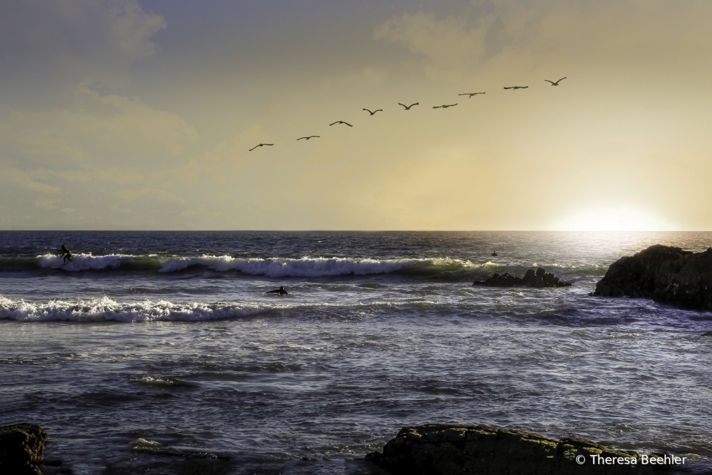 Sunset and birds -- 3 surfers